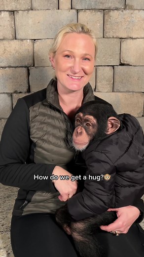 Myrtle Beach Safari on TikTok