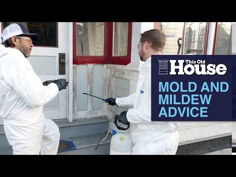 Mauro’s Mold and Mildew Advice | This Old House