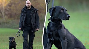 Drug-busting black Labrador crowned Britain's top prison dog