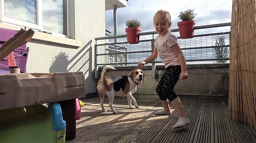 Dog and girl attempt bubbles for the first time