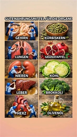 Diese Foods unterstützen deine Organe ⚠️ Was du täglich essen solltest!
