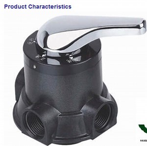 [Hot Item] Run Xin Manual Multi-Port Control Valve for RO Water Filter