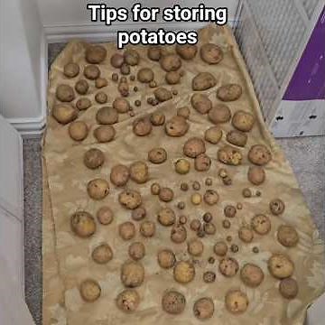 Tips for Storing a Large Harvest of Potatoes/ How to Store Homegrown Potatoes Long-Term for months