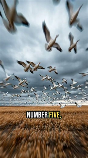 These Creatures Can Destroy a Farm Overnight! 🌾 #FarmingDisaster #CropKillers #AgricultureThreats