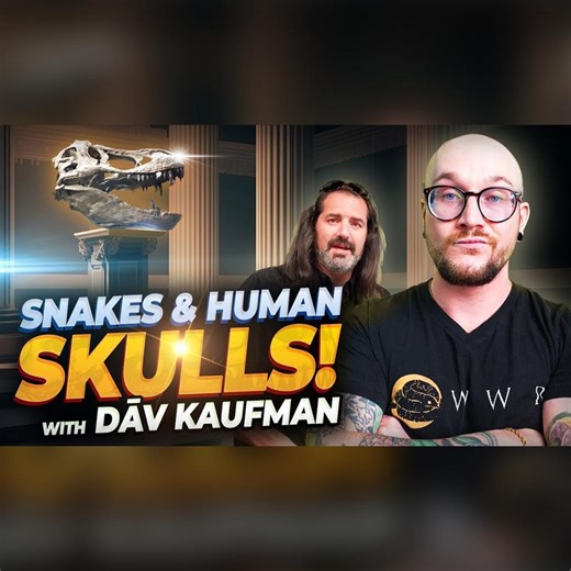 14K views · 148 reactions | I show Dāv Kaufman the BIGGEST Snake Breeding Facility In Canada and We See REAL HUMAN SKULLS! | Wickens Wicked Reptiles | Facebook