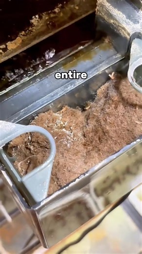 3.1K views · 23 reactions | Beginners 3 money saving tips #fishkeeping #fishtank #pets | Trip Aquarium | Facebook