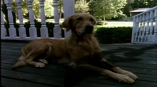 Goosebumps Season 1 Episode 8 Piano Lessons Can Be Murder