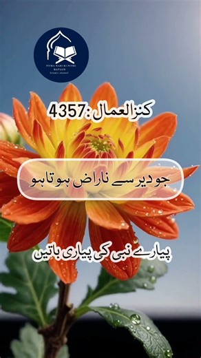 ‎Hadees Sharif 💞🌺💞 | Hadees Mubarak | Best Hadees | Hadith Of Prophet Muhammad | Hadees Nabvi #short