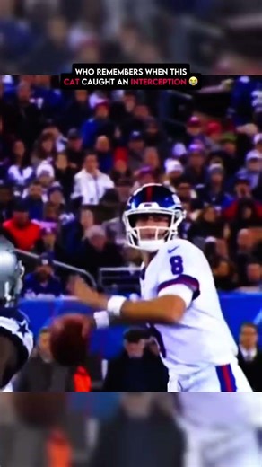 Who remembers when this CAT caught an INTERCEPTION 😭😂 #shorts