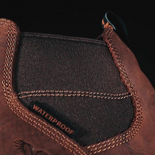 4.4K views · 113 reactions | Fly like an eagle* in the Georgia Boot...