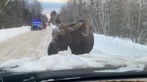 The Safest Cars For 2022, According To IIHS