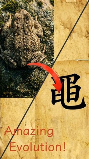 Why "Mǐn" looks like a Toad 🐸
