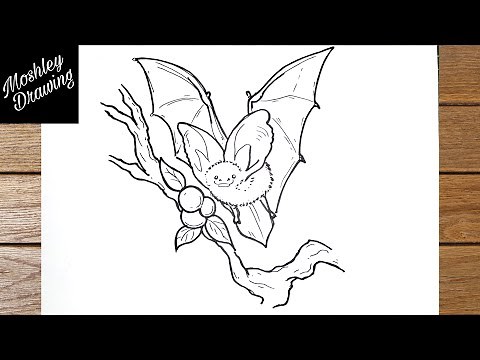How to Draw a Fruit Bat Step by Step