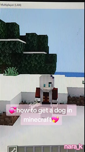 🐶 Ultimate Guide: How to Get a Dog in Minecraft 🐾