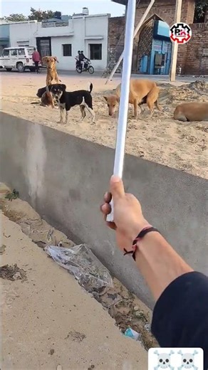 self defence magic stick testing #mazic #experiment @Techbhoora #shorts