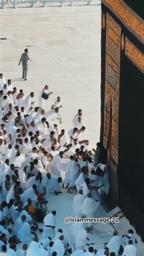 Mash,Allah Makkah live Madinah live #makkah #mecca #kabbah #hajj #shorts #shortvideo #love #madina