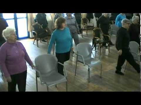 Seniors' Falls Prevention Exercise Program