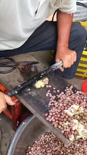 Philomena Amity on TikTok