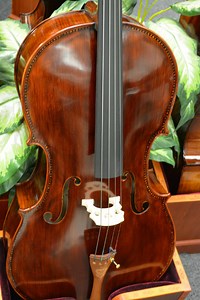 The Italian Cello