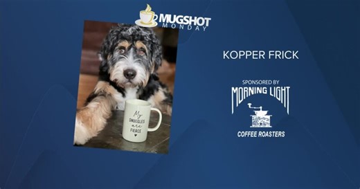 Mug Shot Monday (February 7, 2022)