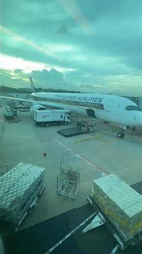 🇸🇬 Singapore Airlines Airbus A350-900 Changi Airport Terminal 3 B2 gate #travel