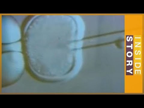 Back to the future: Cloning human stem cells | Inside Story
