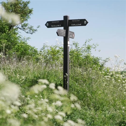 Join our Ridgeway Patron Mary-Ann Ochota as she explores the heritage along the Ridgeway National Trail in the new series 'Ancient Ways: The Ridgeway’. Ep1 is released today Thursday 29/01/2026 Ep2 will be released on Monday 12/02/2026 on Dan Snow’s History Hit which is a subscription service. #ukholidays #VisitEngland #NationalTrails | Ridgeway National Trail
