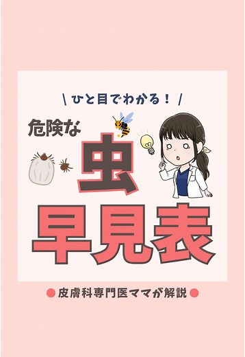 危険な虫と虫刺され対策｜皮膚科専門医が解説