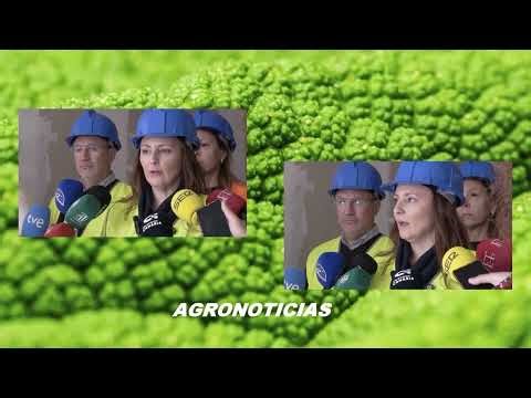 Crónica del Campo 24.03.26 | Mírame TV Canarias