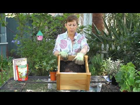 How to Plant Cucumbers in Mounds : Garden Space