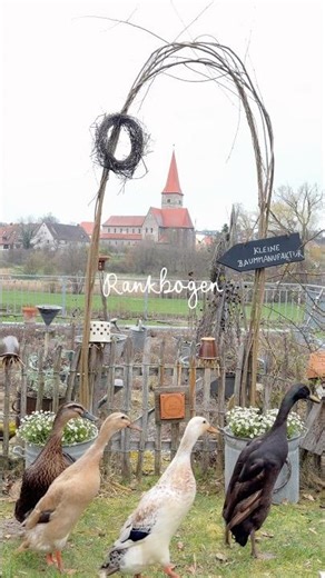 DIY Rankbogen, Rosenbogen, Rankgerüst für Rankpflanzen, Schlingpflanzen / Gartenideen im Naturgarten