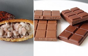Make Chocolate From a Cacao Pod