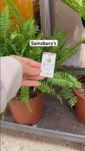 Sainsbury’s shopping