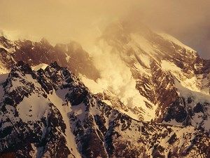 Blog Archives