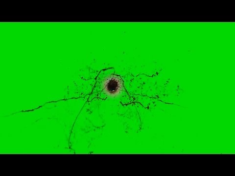 Headshot green screen blood hit bullet HD