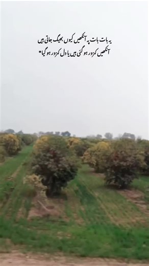 Reeba (@reeb.a7)’s videos with original sound - ✨SHAH G✨