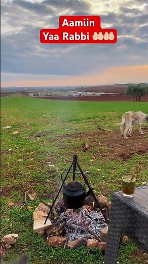 #الدعاء #القرآن_الكريم رب اغفرلي ولوالدي #اكسبلور #تيك_توك