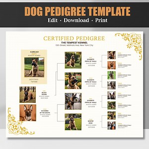 Dog Pedigree Chart, Printable Pedigree Certificate, Puppy Pedigree, Breeder Templates, Breeder Puppy Pack, Pet Certificate Template - Etsy