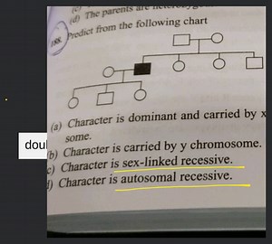 Predict from the following chart... | Filo