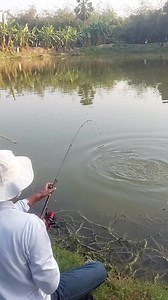 American fish hunting! #american #america #americanfish #fish #hunting #fishhunting | Fish Watching