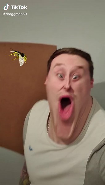 Ouch! Funny Videos of People Getting Stung by Wasps