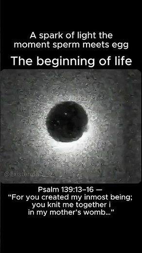 The Beginning of Life - Be Thou My Vision - Catholic Hymn