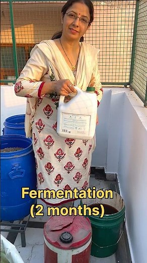 How to use compost tea #ytshorts #gardening #compost