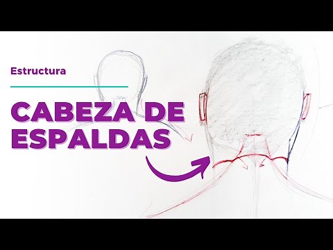 ➡️Cómo Dibujar una CABEZA de ESPALDAS | Parte trasera de la cabeza