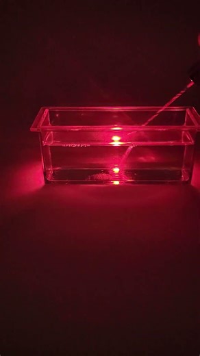 Light Bending! #science #physics #optics