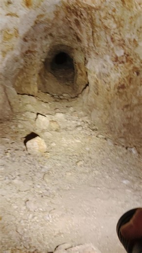 17K views · 293 reactions | HUNTING GOLD, LIONS, and GHOSTS at the same time. So we sent the dogs in. After flare gun cleared. we went deeper this time. Had to crawl in shallow collapsing mine, cave, lions den . This is an adventure I won't ever forget. Here it is for you! I hope you enjoy. | Scott Ehalt | Facebook