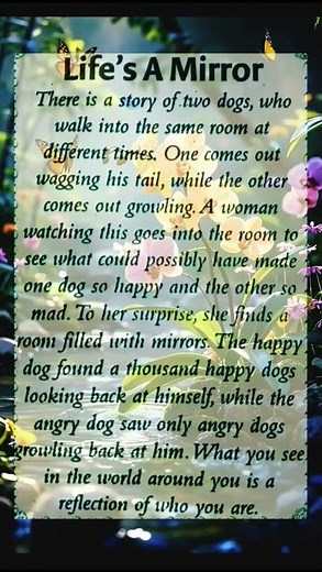 Wise Words - inspiring quotes and motivation Subscribe for your daily dose of wisdom and positivity!