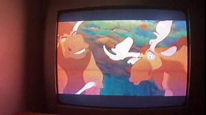Opening to The Jungle Book 2 2003 VHS