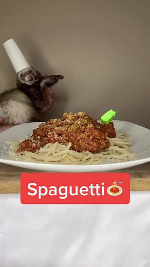 Delicious Ferret-Inspired Spaghetti Recipe
