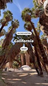 125K views · 105 comments | PALM CANYON Palm Canyon is just one of...